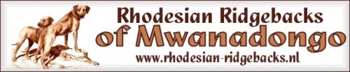 Rhodesian Ridgebacks of Mwanadongo