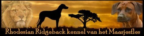 Rhodesian Ridgeback Kennel van het Maasjesfles