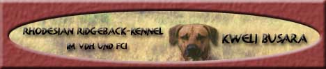 Kweli Busara Rhodesian Ridgeback Kennel