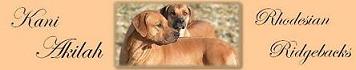 Kani Akilah Rhodesian Ridgebacks