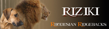 Riziki Rhodesian Ridgebacks