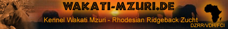 Kennel Wakati Mzuri