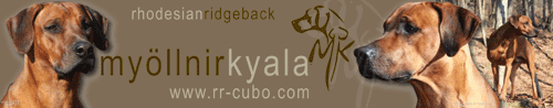 Myollnir Kyala - Cubo