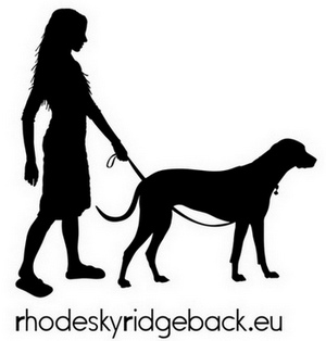 Rhodesian ridgeback.eu - Amelie Belle