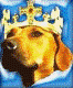 kennel of rhodesian ridgebacks 