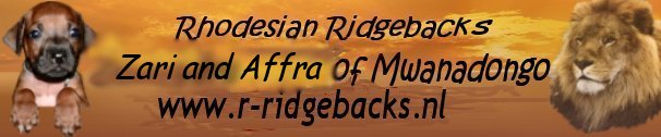 Rhodesian Ridgebacks of Mwanadongo