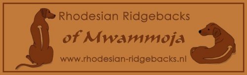 Rhodesian ridgeback kennel of Mwammoja