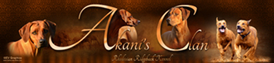 WW Multi Ch. Red Wheaten Akani