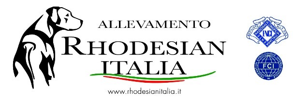 Allevamento Rhodesianitalia- Della Tenuta dell'Ermitage