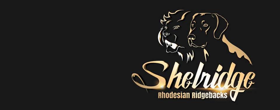 Shelridge Rhodesian Ridgebacks